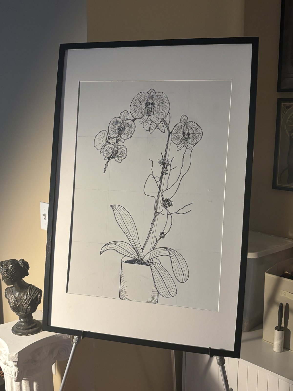 Ink line drawing of a potted orchid, framed on an easel